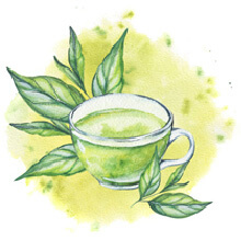 EGCG (Green Tea Extract)