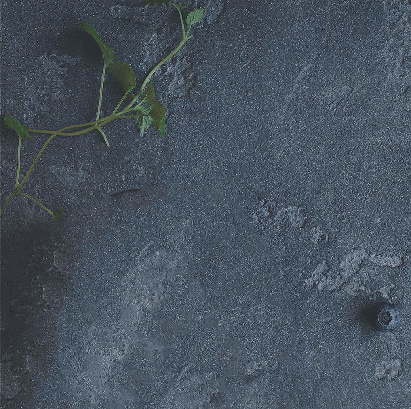 Nucific's Principles-background