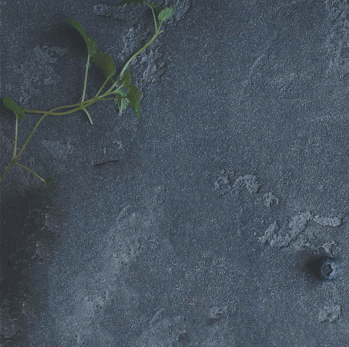 Nucific's Principles-background