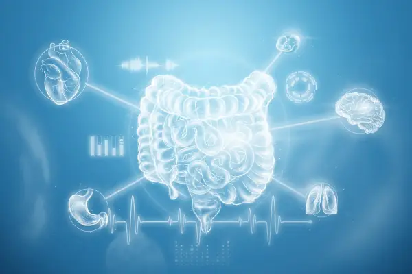 What Is YOUR Digestive System Doing?
