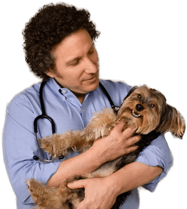 Dr. Gary Richter, MS, DVM