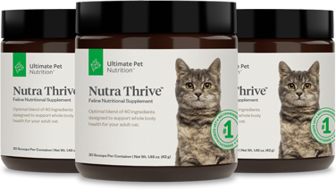 ultimate pet nutrition for cats