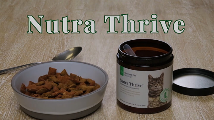Nutra Thrive Powder Pouring