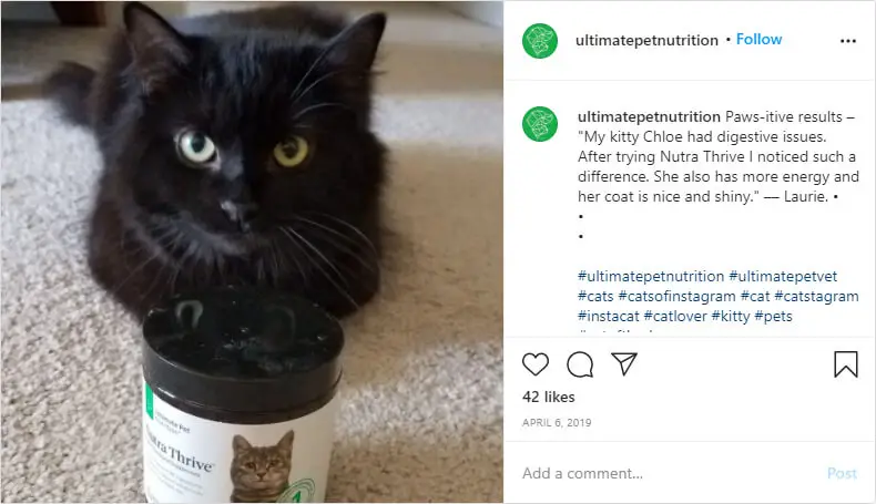 Nutrathrive on Instagram