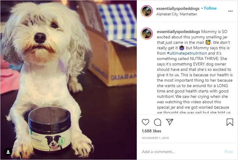 Nutrathrive on Instagram