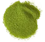 Spirulina