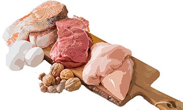 Animal Foods & Legumes