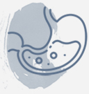 digestion