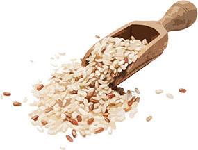 Grains & Grain Product