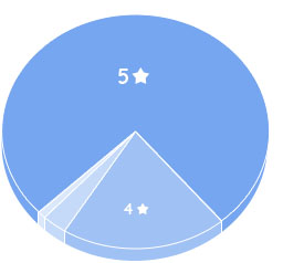 pie chart