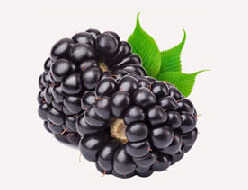 Blackberries