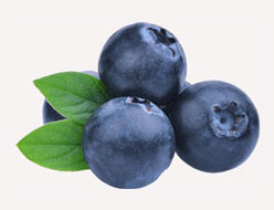 Blueberries