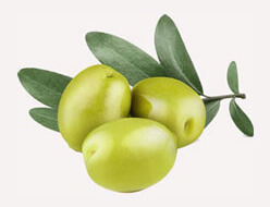Olives